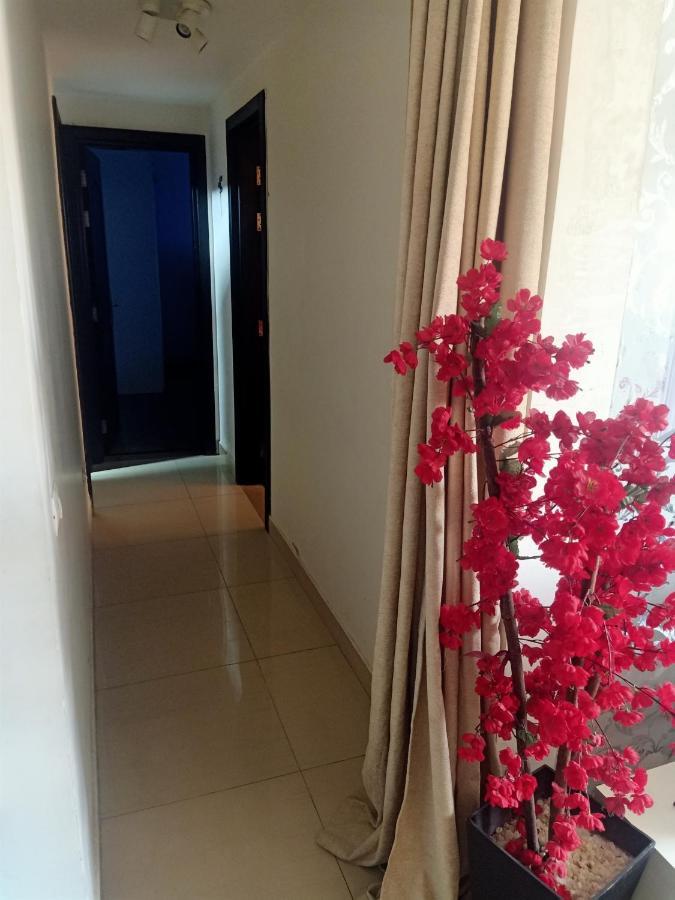 Fully Furnished Apartment At Ocean Blue Compound Le Caire Extérieur photo